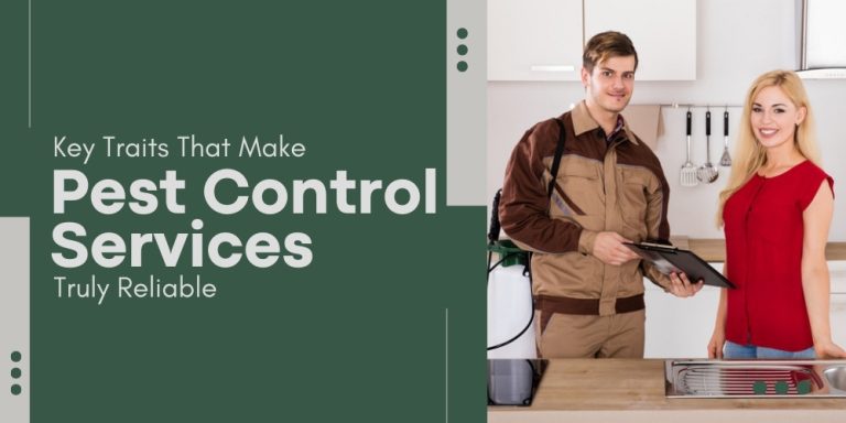 Key Traits That Make Pest Control Services Truly Reliable