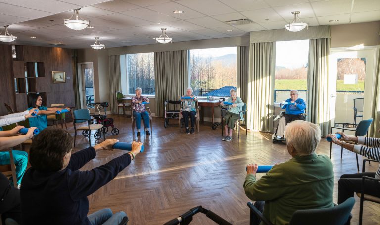 Enhancing Daily Well-Being with Comprehensive Companion Care Support Locally